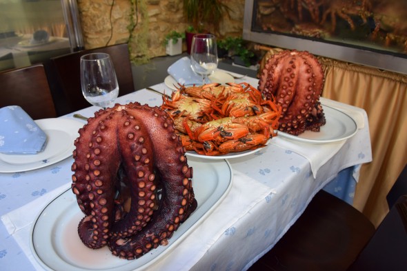 pulpo_kaligrafa